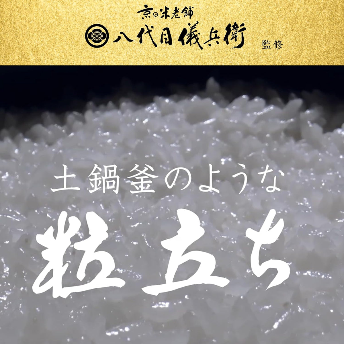 日立 5.5合炊飯器 RZ-V100GMのレンタル