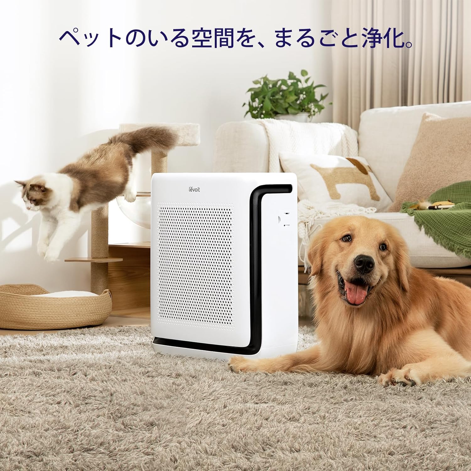 Levoit Vital 200S 空気清浄機 33畳のレンタル