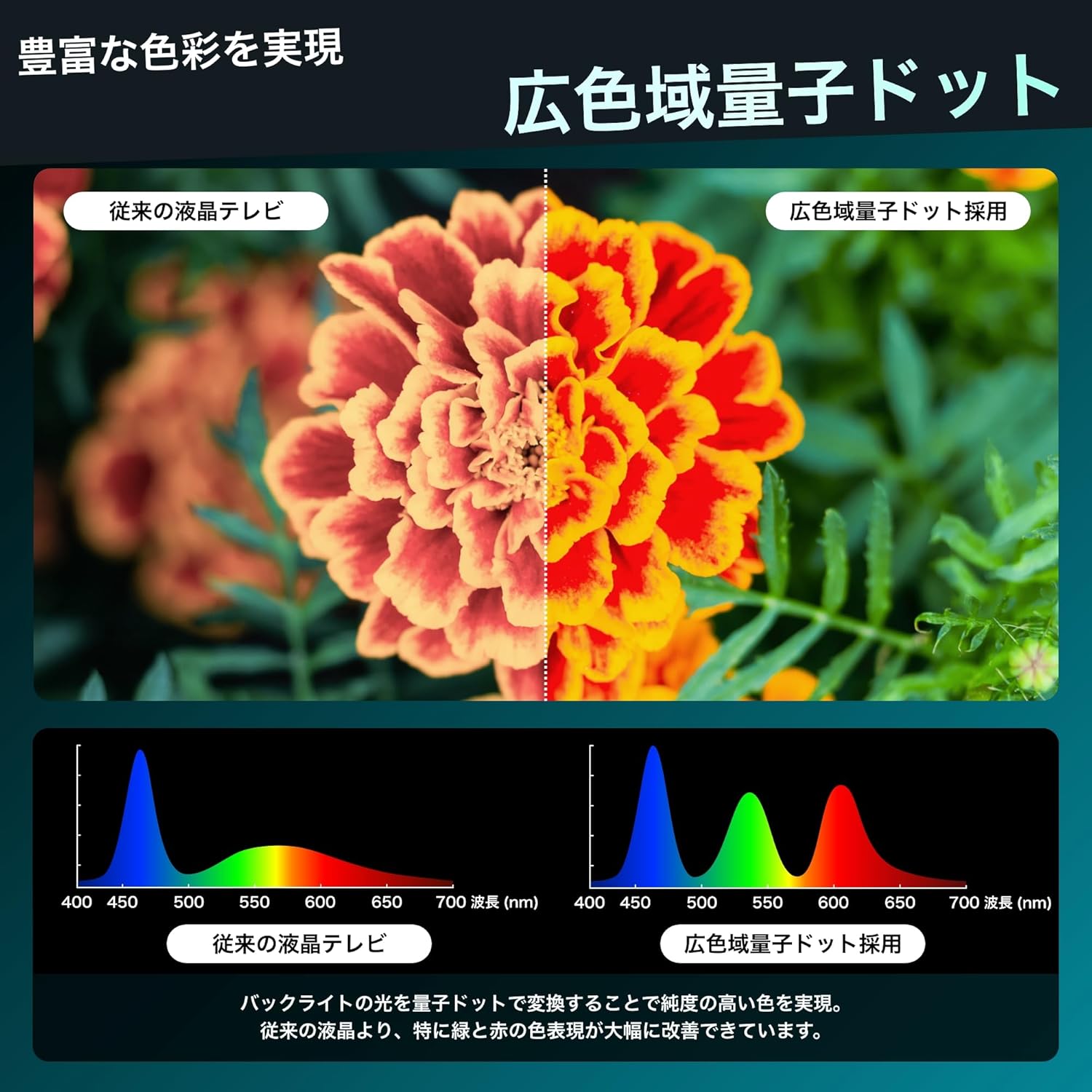 ハイセンス 43Vテレビ 43E7Nのレンタル