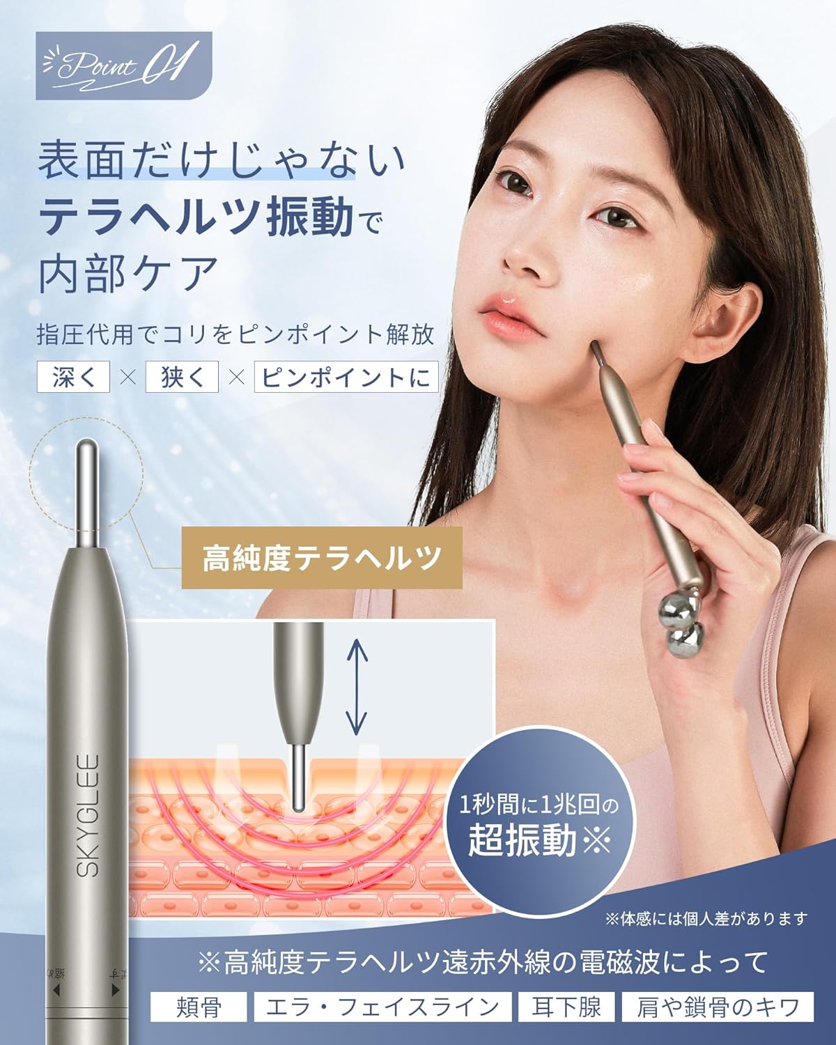 Skyglee テラヘルツ フェイスローラーのレンタル