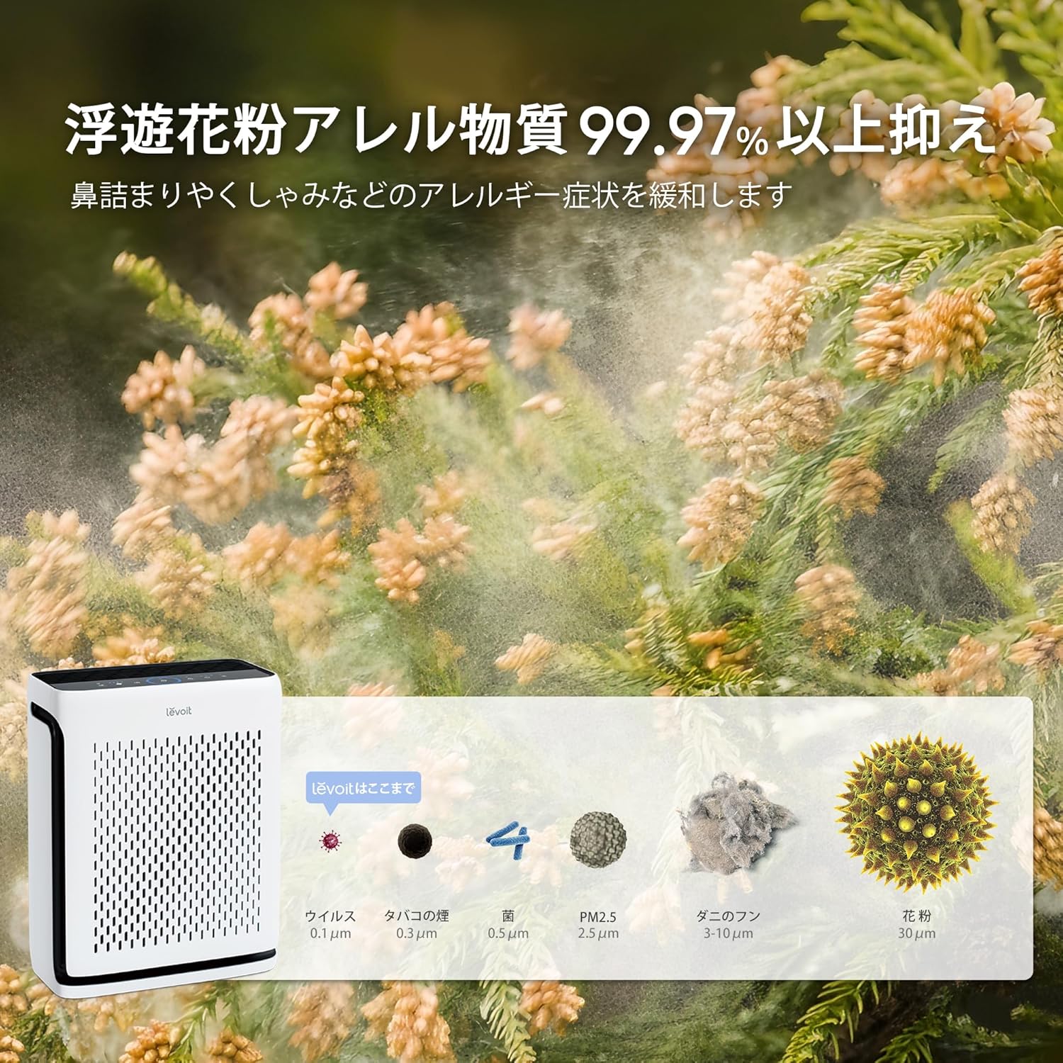 Levoit Vital 200S 空気清浄機 33畳のレンタル