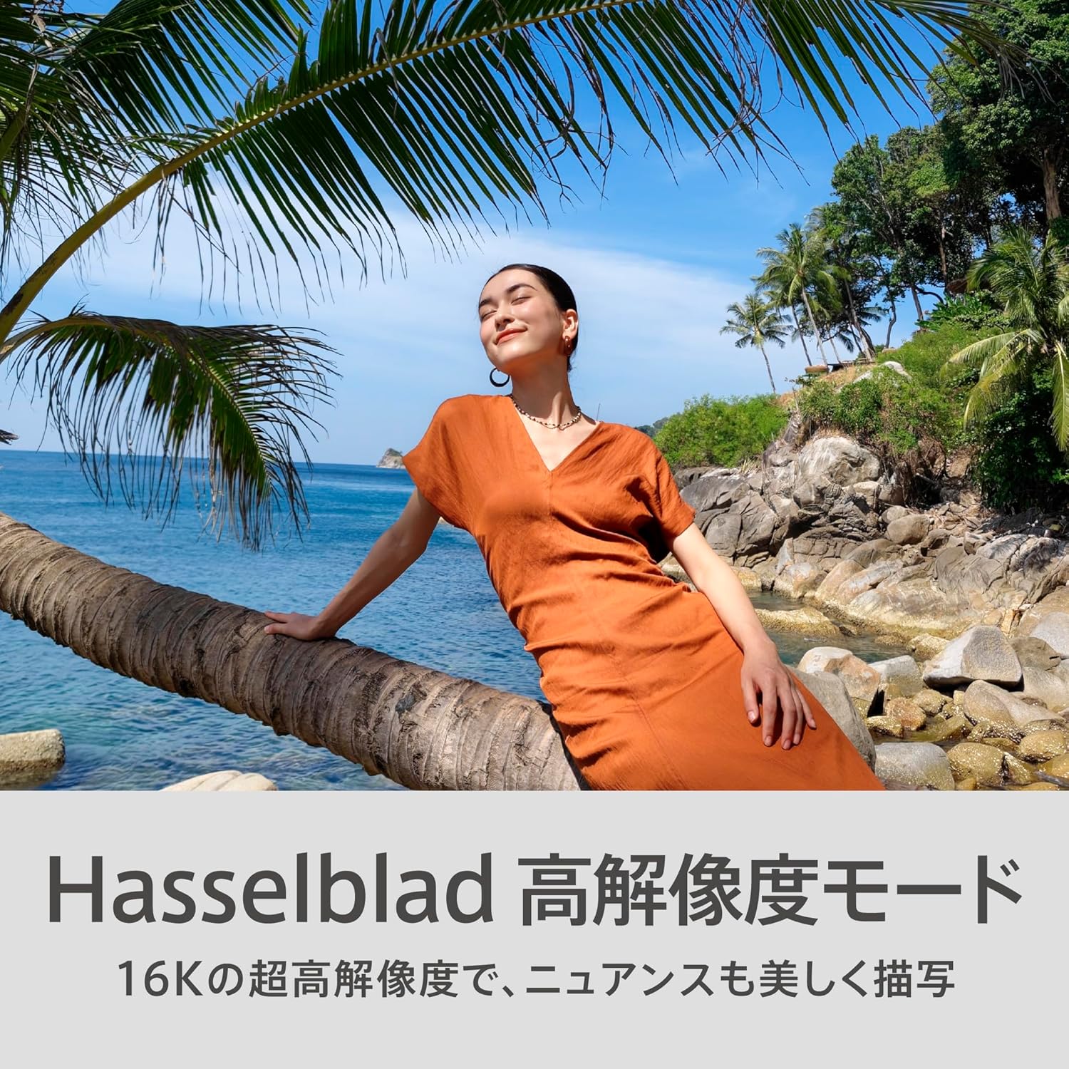 OPPO FIND N6のレンタル
