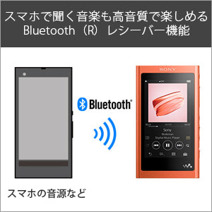 ソニー ウォークマン NW-A45 16GBのレンタル