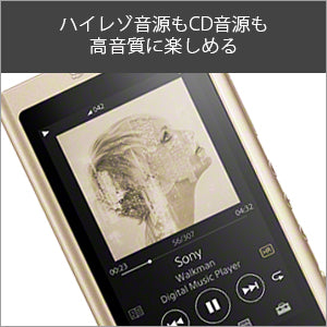 ソニー ウォークマン NW-A45 16GBのレンタル