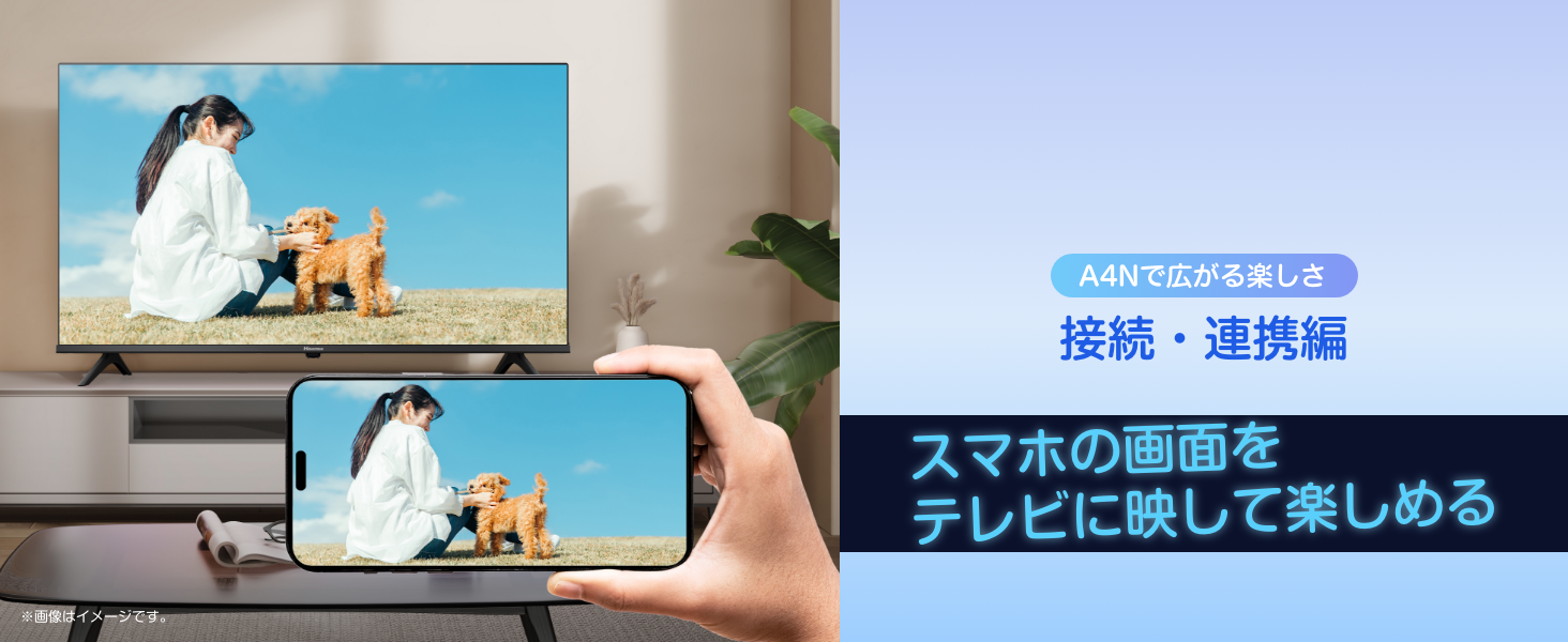ハイセンス 24Vテレビ 24A4Nのレンタル