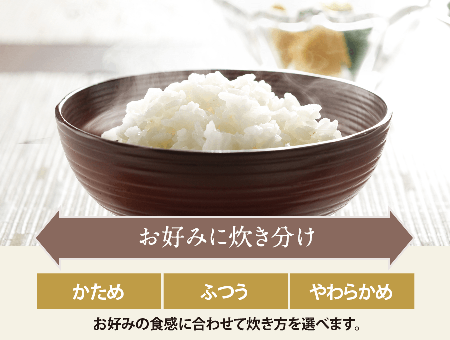 象印 5.5号炊飯器 NW-VK10のレンタル